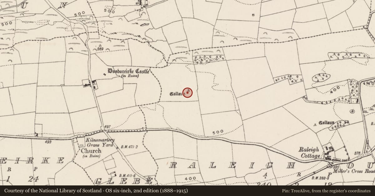 Ordnance Survey six-inch map, 2nd edition (1888–1915) covering the location of Standing stone, Raleigh South, County Cork, with a pin at the register's coordinates