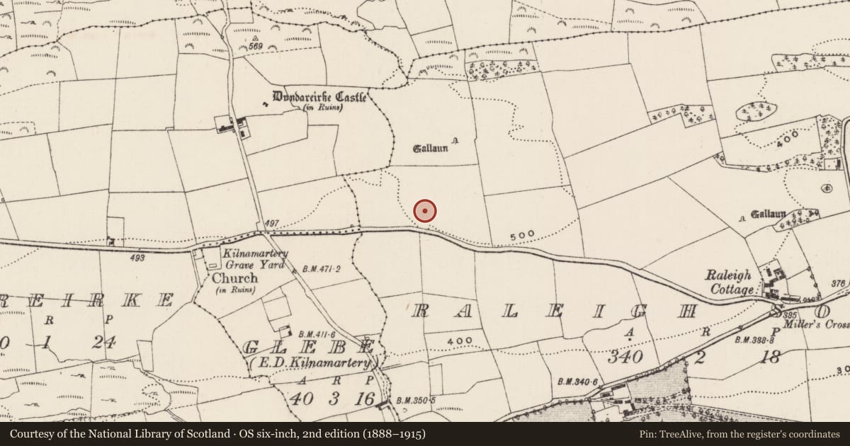 Ordnance Survey six-inch map, 2nd edition (1888–1915) covering the location of Standing stone, Raleigh South, County Cork, with a pin at the register's coordinates