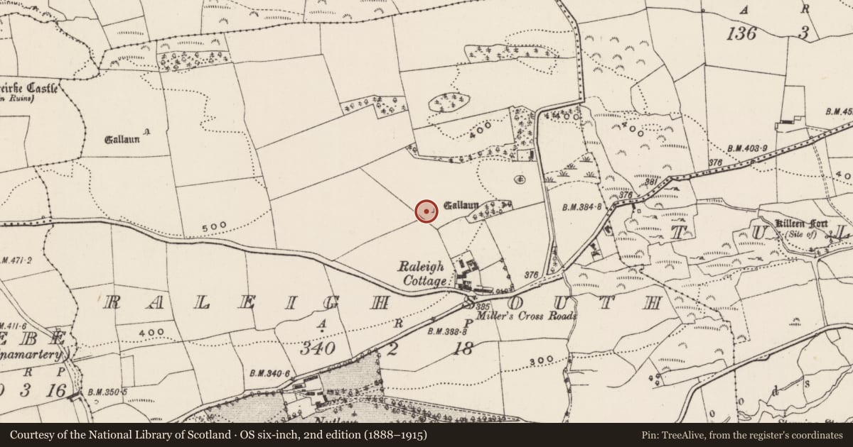Ordnance Survey six-inch map, 2nd edition (1888–1915) covering the location of Standing stone, Raleigh South, County Cork, with a pin at the register's coordinates