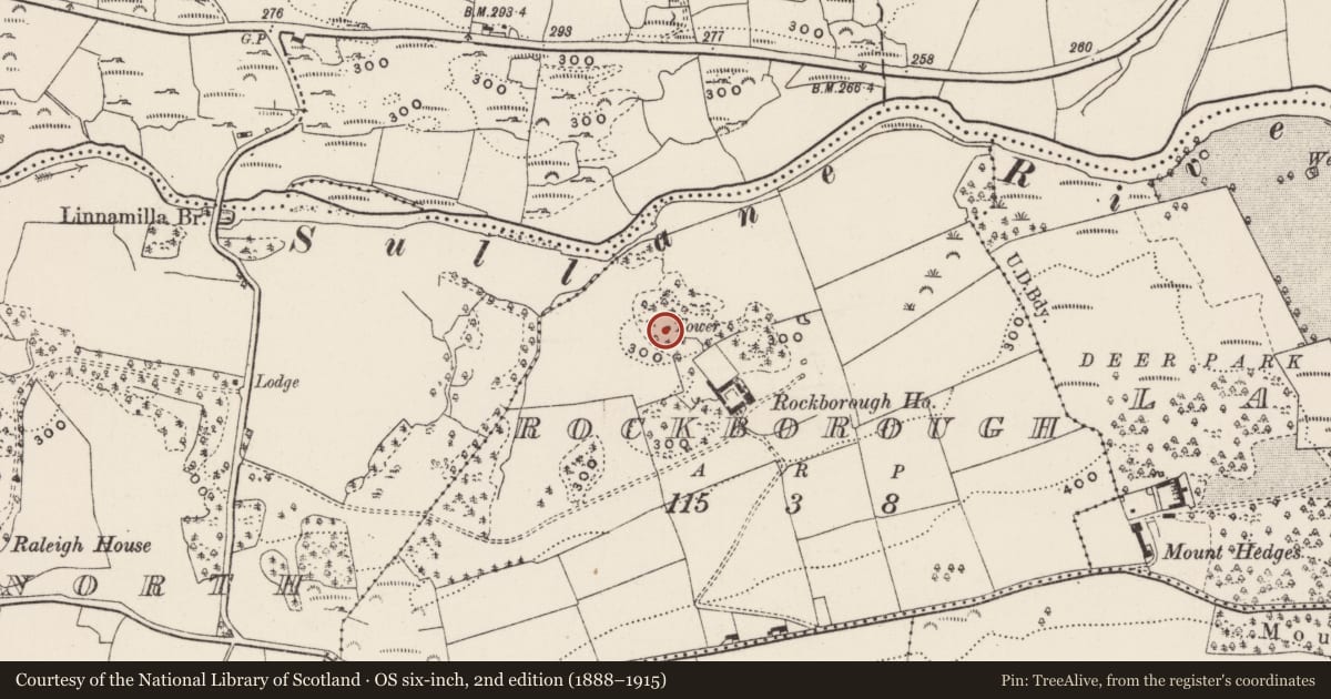 Ordnance Survey six-inch map, 2nd edition (1888–1915) covering the location of Designed landscape - belvedere, Rockborough, County Cork, with a pin at the register's coordinates