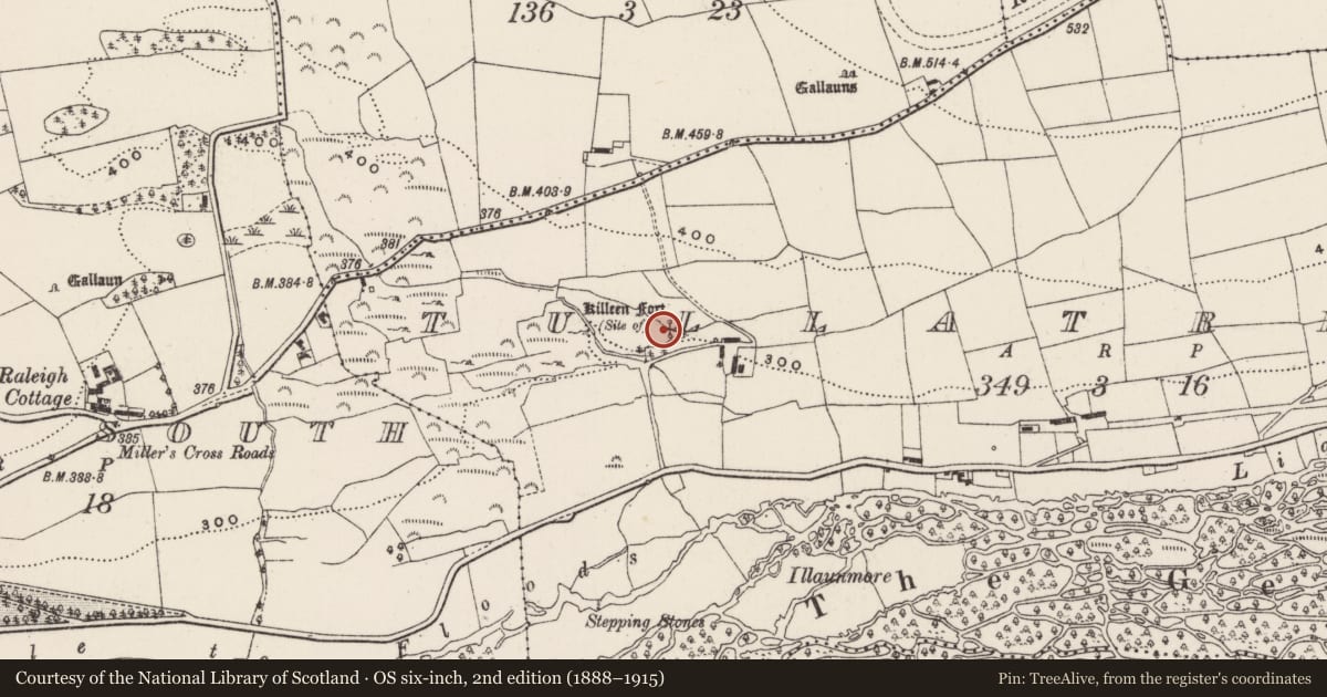 Ordnance Survey six-inch map, 2nd edition (1888–1915) covering the location of Ringfort - rath, Tullatreada, County Cork, with a pin at the register's coordinates