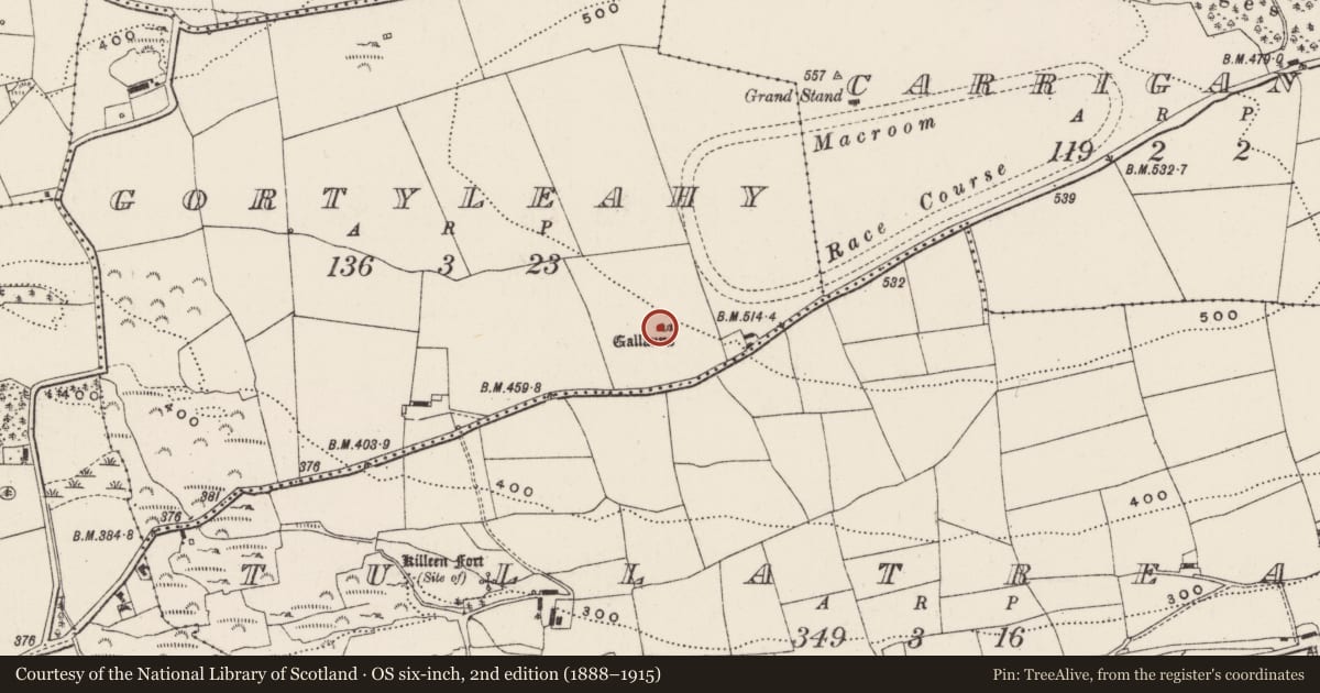 Ordnance Survey six-inch map, 2nd edition (1888–1915) covering the location of Stone row, Gortyleahy, County Cork, with a pin at the register's coordinates