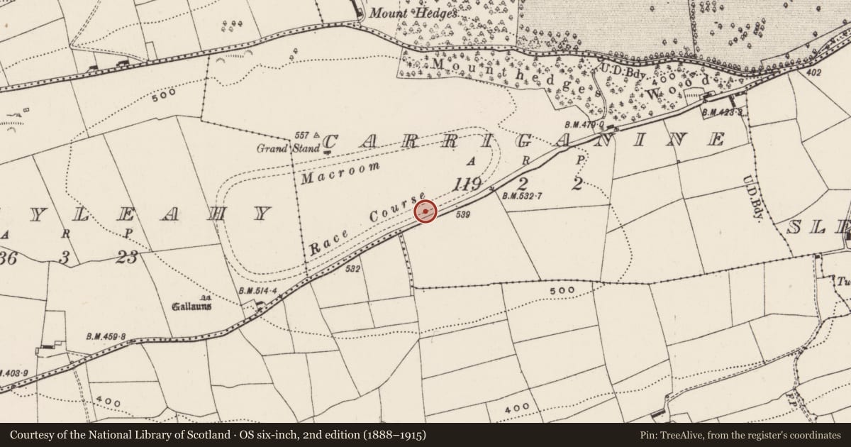 Ordnance Survey six-inch map, 2nd edition (1888–1915) covering the location of Stone circle - five-stone, Carriganine, County Cork, with a pin at the register's coordinates