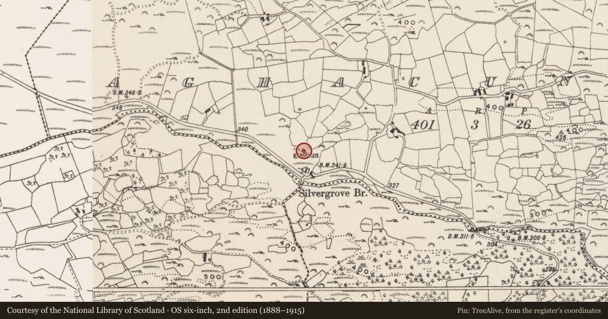 Ordnance Survey six-inch map, 2nd edition (1888–1915) covering the location of Standing stone, Áth An Chonnaidh, County Cork, with a pin at the register's coordinates