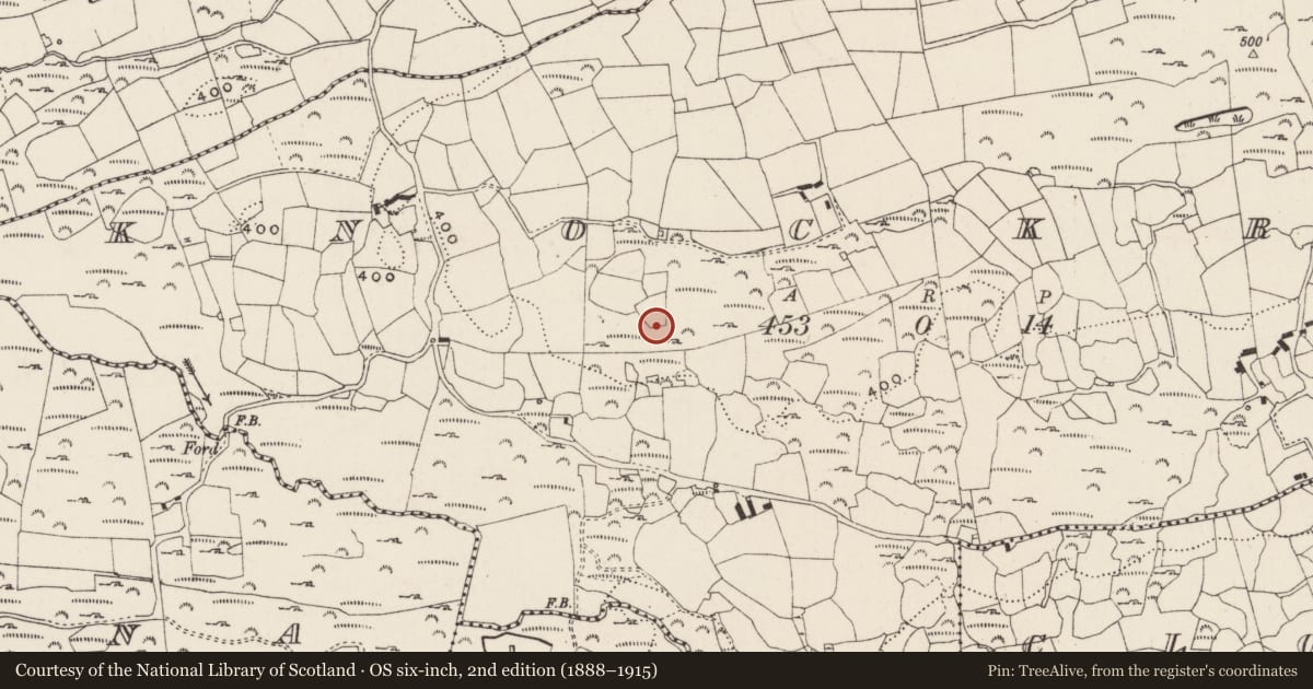 Ordnance Survey six-inch map, 2nd edition (1888–1915) covering the location of Standing stone, Knockroe, County Cork, with a pin at the register's coordinates