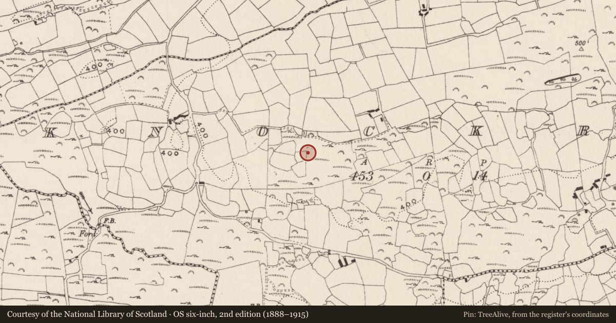 Ordnance Survey six-inch map, 2nd edition (1888–1915) covering the location of Standing stone, Knockroe, County Cork, with a pin at the register's coordinates