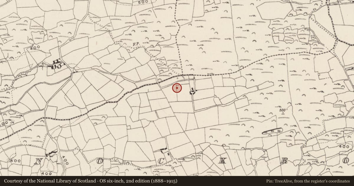 Ordnance Survey six-inch map, 2nd edition (1888–1915) covering the location of Standing stone, Knockroe, County Cork, with a pin at the register's coordinates