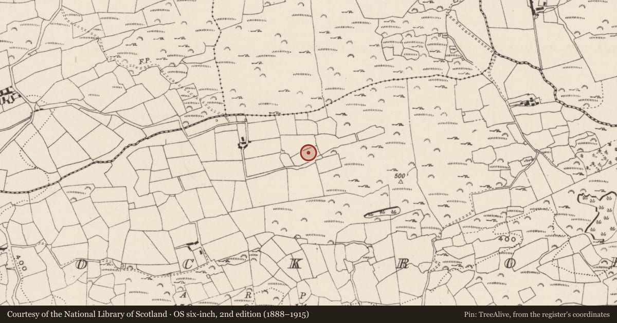 Ordnance Survey six-inch map, 2nd edition (1888–1915) covering the location of Standing stone, Knockroe, County Cork, with a pin at the register's coordinates
