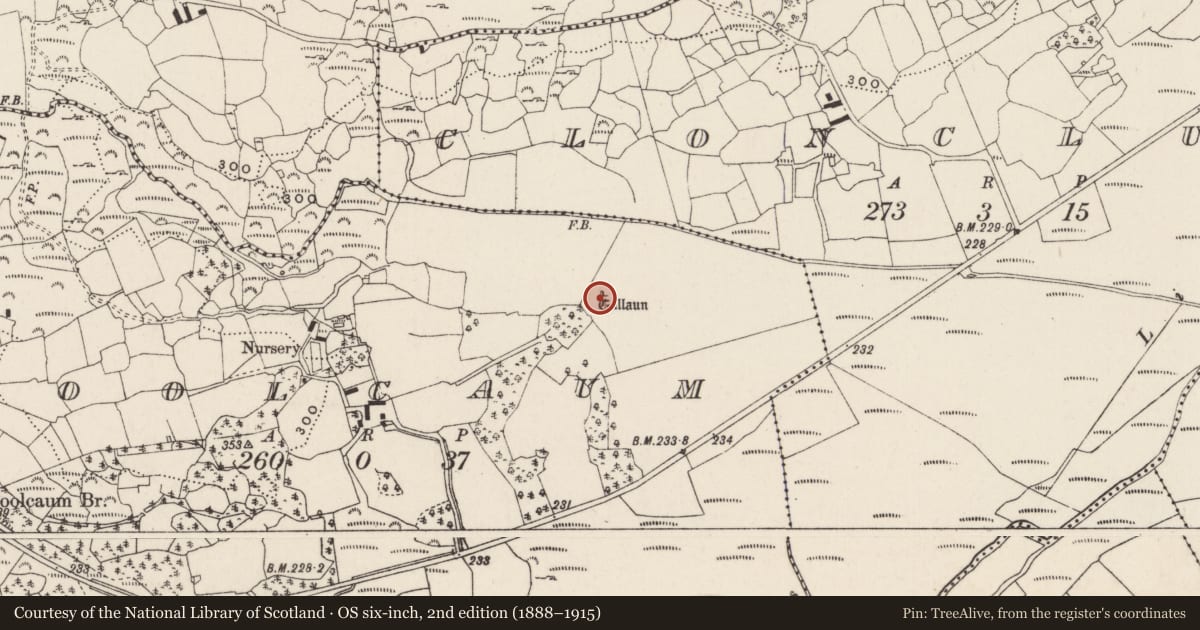 Ordnance Survey six-inch map, 2nd edition (1888–1915) covering the location of Standing stone, An Chúil Cham, County Cork, with a pin at the register's coordinates