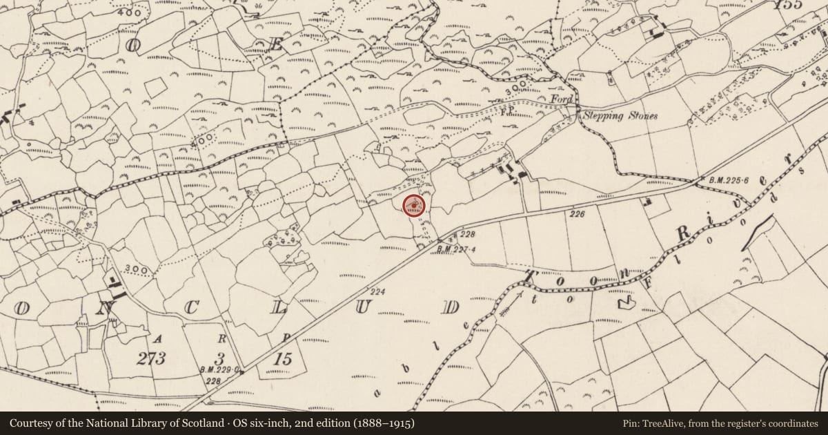 Ordnance Survey six-inch map, 2nd edition (1888–1915) covering the location of Kiln - lime, Cluain Clod, County Cork, with a pin at the register's coordinates