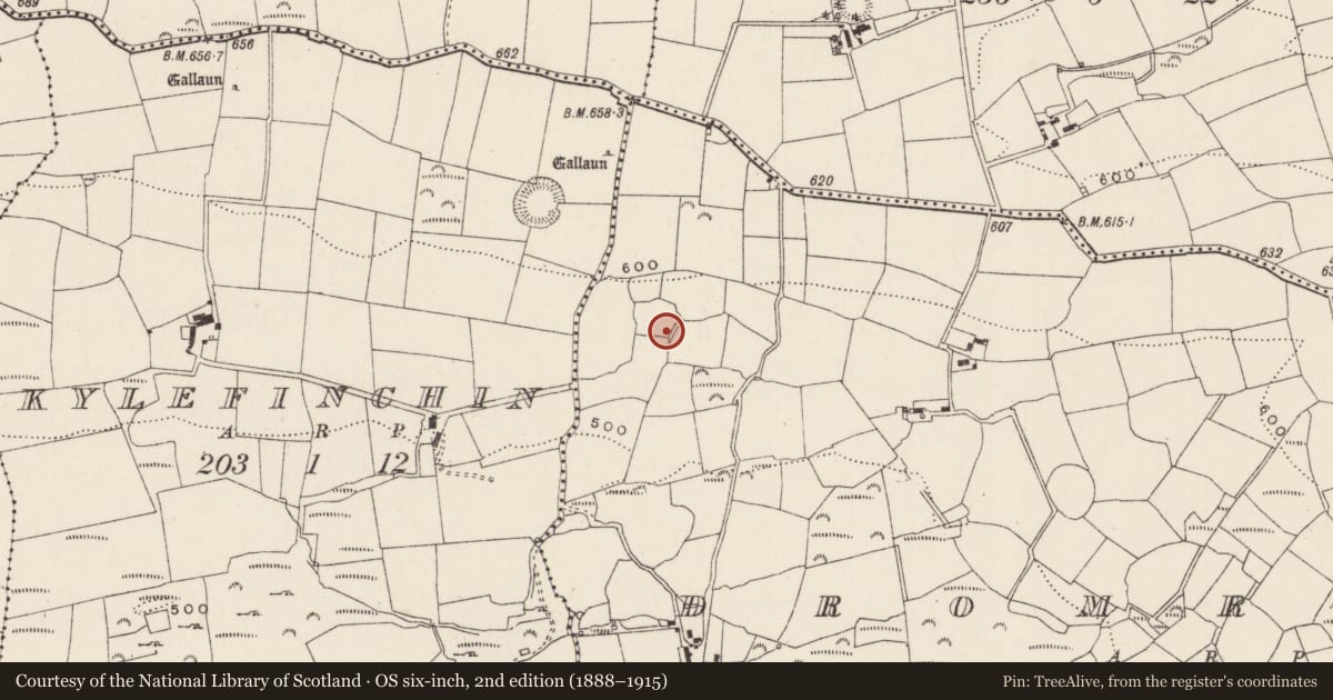 Ordnance Survey six-inch map, 2nd edition (1888–1915) covering the location of Standing stone, An Droim Réidh, County Cork, with a pin at the register's coordinates