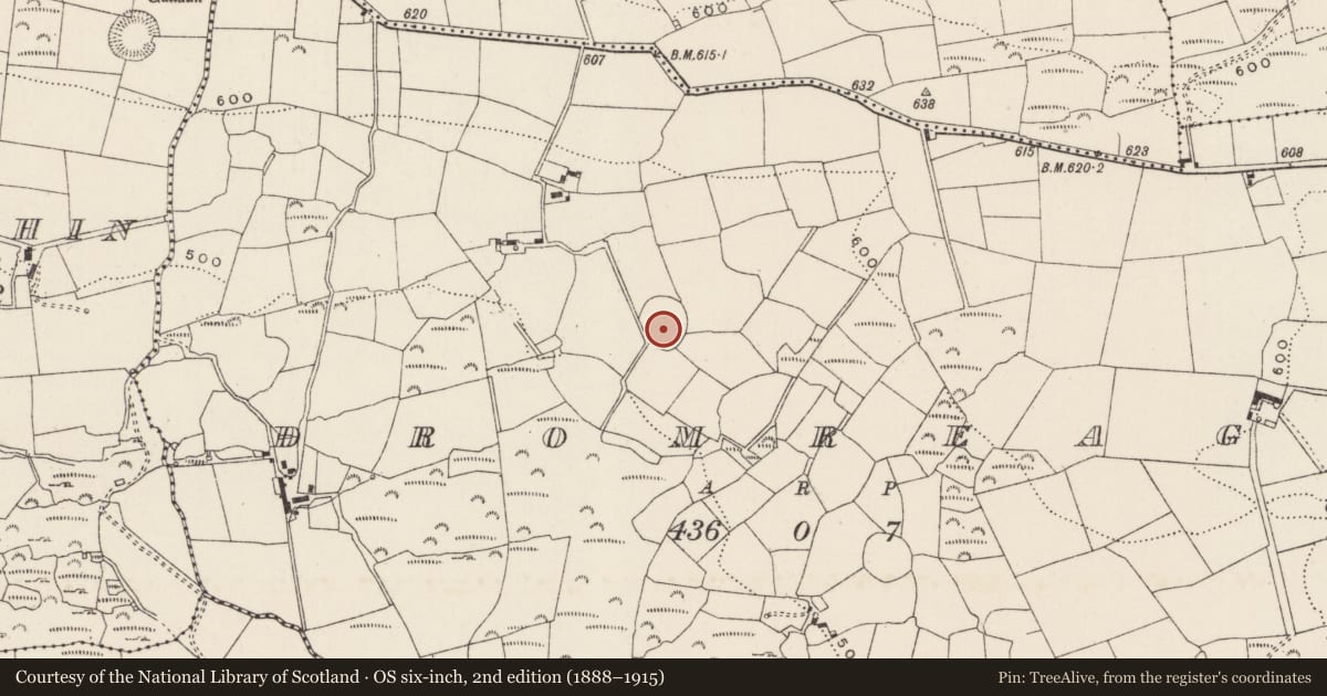 Ordnance Survey six-inch map, 2nd edition (1888–1915) covering the location of Enclosure, An Droim Réidh, County Cork, with a pin at the register's coordinates
