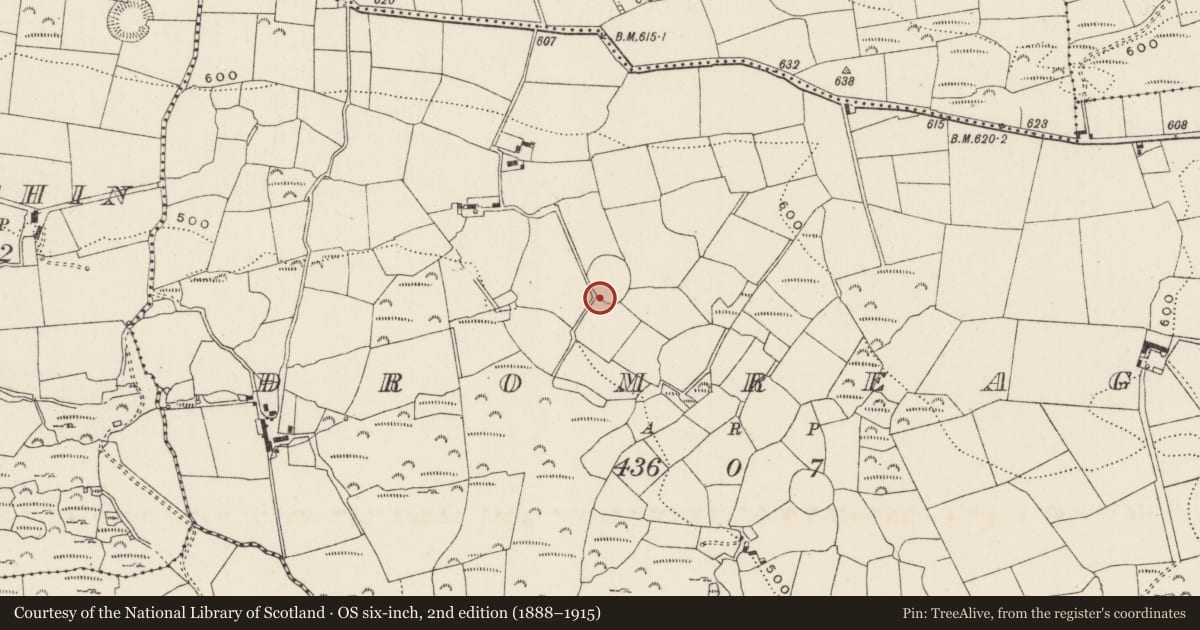 Ordnance Survey six-inch map, 2nd edition (1888–1915) covering the location of Souterrain, An Droim Réidh, County Cork, with a pin at the register's coordinates