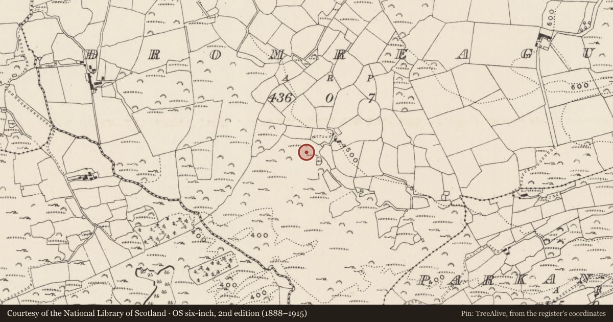 Ordnance Survey six-inch map, 2nd edition (1888–1915) covering the location of Fulacht fia, An Droim Réidh, County Cork, with a pin at the register's coordinates