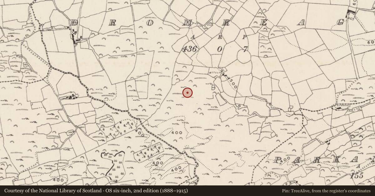 Ordnance Survey six-inch map, 2nd edition (1888–1915) covering the location of Fulacht fia, An Droim Réidh, County Cork, with a pin at the register's coordinates