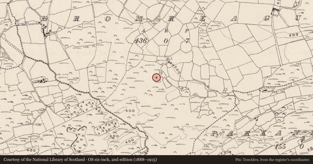 Ordnance Survey six-inch map, 2nd edition (1888–1915) covering the location of Fulacht fia, An Droim Réidh, County Cork, with a pin at the register's coordinates