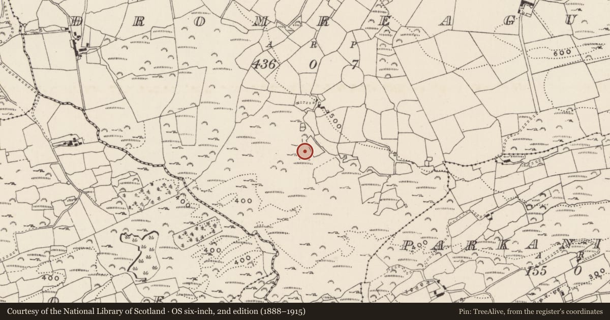 Ordnance Survey six-inch map, 2nd edition (1888–1915) covering the location of Fulacht fia, An Droim Réidh, County Cork, with a pin at the register's coordinates