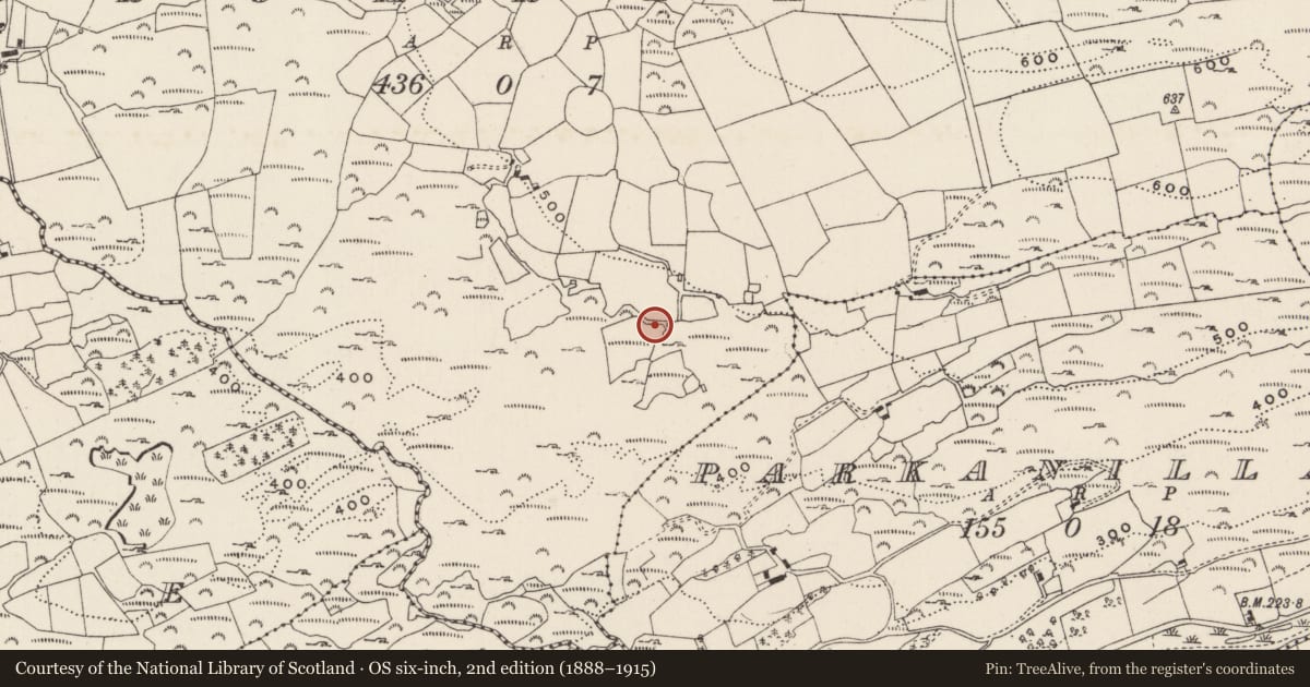 Ordnance Survey six-inch map, 2nd edition (1888–1915) covering the location of Fulacht fia, An Droim Réidh, County Cork, with a pin at the register's coordinates