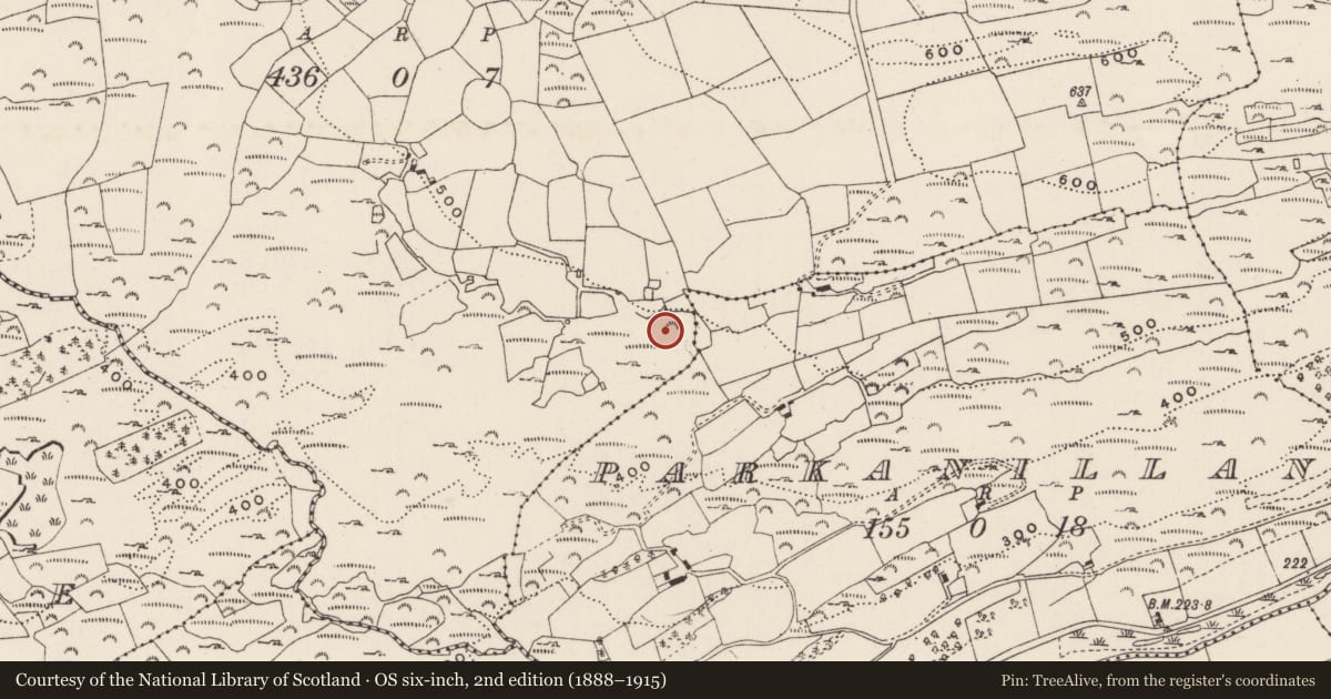 Ordnance Survey six-inch map, 2nd edition (1888–1915) covering the location of Fulacht fia, An Droim Réidh, County Cork, with a pin at the register's coordinates
