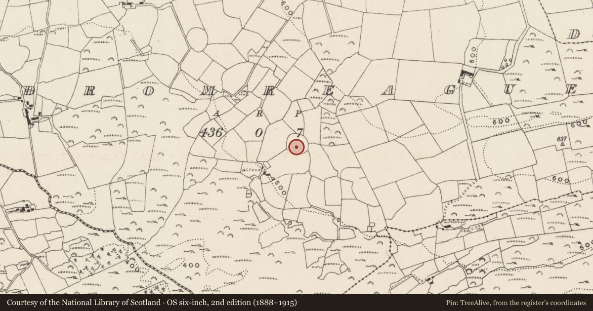 Ordnance Survey six-inch map, 2nd edition (1888–1915) covering the location of Ringfort - cashel, An Droim Réidh, County Cork, with a pin at the register's coordinates