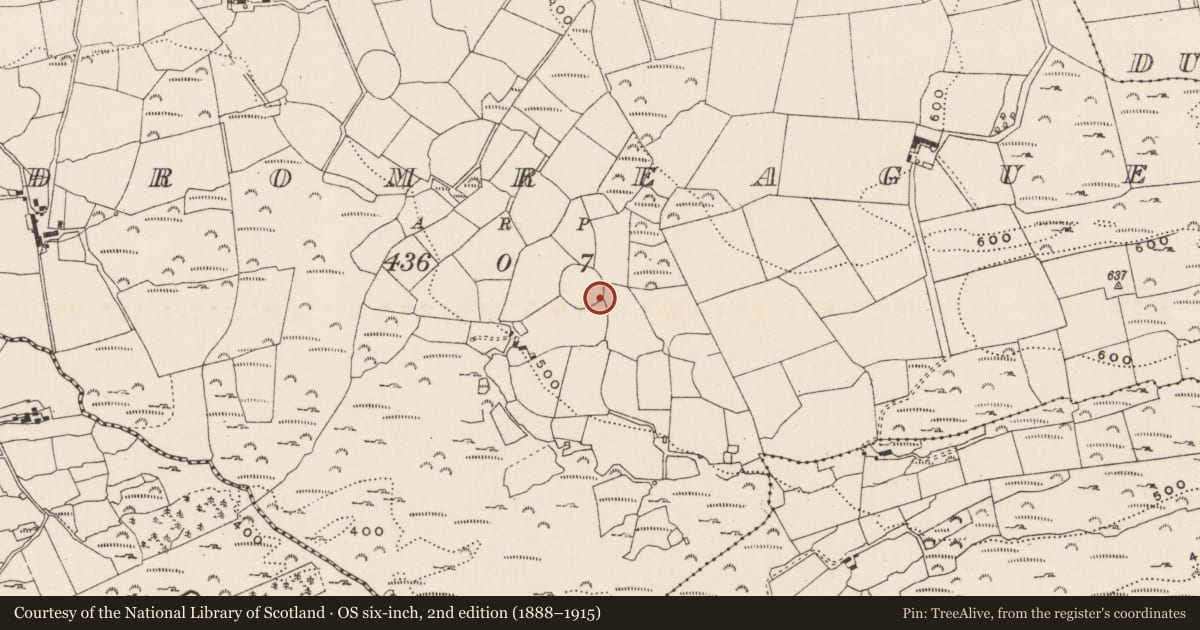 Ordnance Survey six-inch map, 2nd edition (1888–1915) covering the location of Standing stone, An Droim Réidh, County Cork, with a pin at the register's coordinates