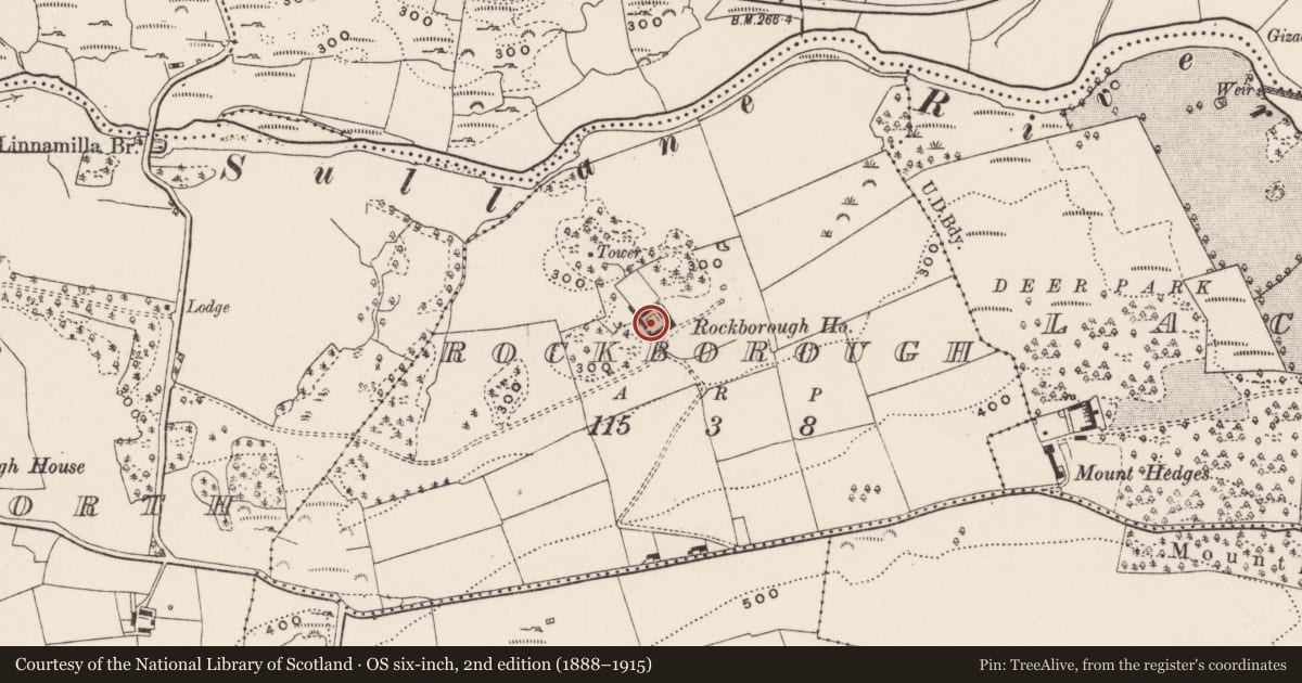 Ordnance Survey six-inch map, 2nd edition (1888–1915) covering the location of Country house, Rockborough, County Cork, with a pin at the register's coordinates