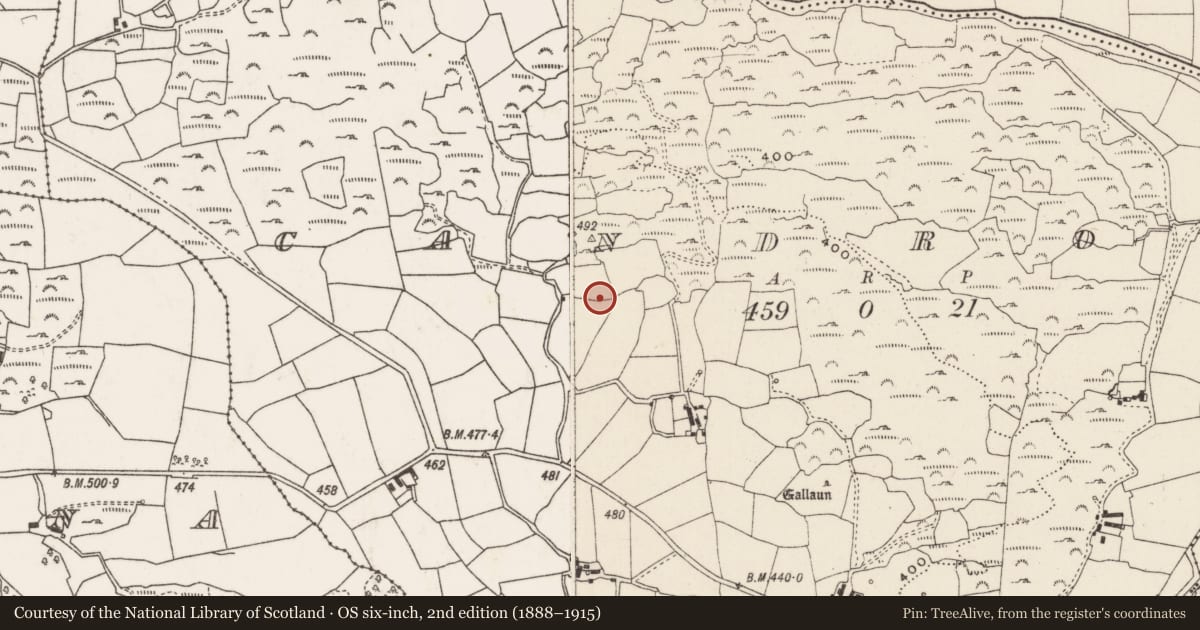 Ordnance Survey six-inch map, 2nd edition (1888–1915) covering the location of Fulacht fia, Ceann Droma, County Cork, with a pin at the register's coordinates