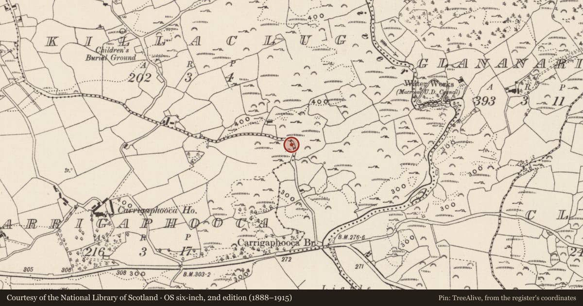 Ordnance Survey six-inch map, 2nd edition (1888–1915) covering the location of Fulacht fia, Killaclug, County Cork, with a pin at the register's coordinates