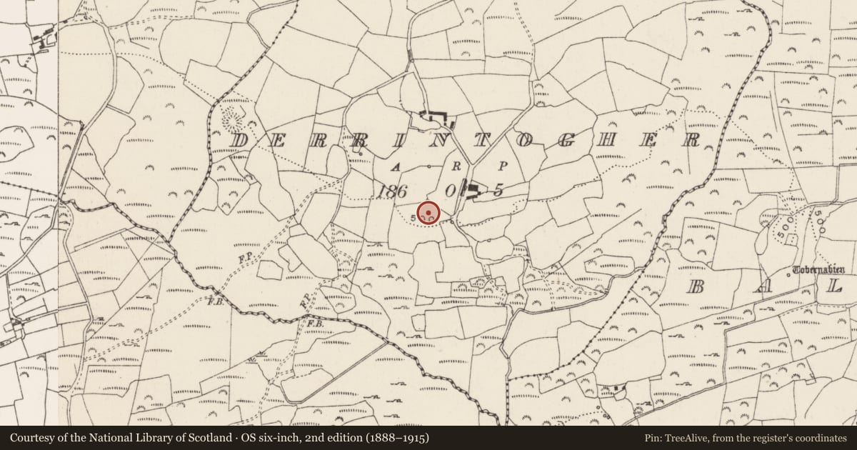 Ordnance Survey six-inch map, 2nd edition (1888–1915) covering the location of Fulacht fia, Doire An Tóchair, County Cork, with a pin at the register's coordinates