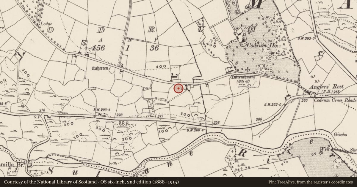 Ordnance Survey six-inch map, 2nd edition (1888–1915) covering the location of Inscribed stone, Codrum, County Cork, with a pin at the register's coordinates