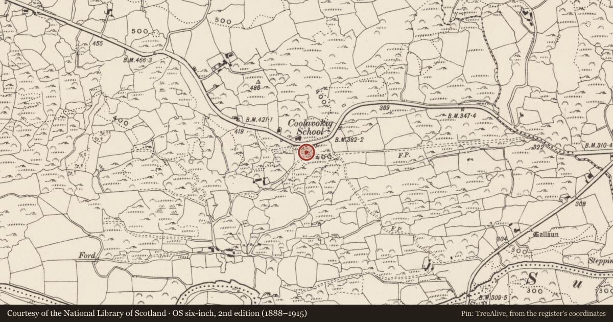 Ordnance Survey six-inch map, 2nd edition (1888–1915) covering the location of Burial ground, Cúil An Bhuacaigh, County Cork, with a pin at the register's coordinates