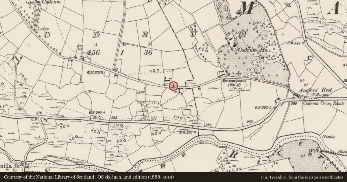Ordnance Survey six-inch map, 2nd edition (1888–1915) covering the location of Ritual site - holy/saint's stone, Codrum, County Cork, with a pin at the register's coordinates