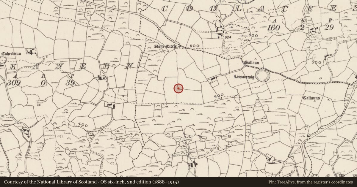 Ordnance Survey six-inch map, 2nd edition (1888–1915) covering the location of Souterrain, Lissacresig, County Cork, with a pin at the register's coordinates