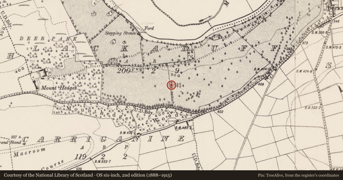 Ordnance Survey six-inch map, 2nd edition (1888–1915) covering the location of Battlefield, Lackaduff, Rockborough, County Cork, with a pin at the register's coordinates