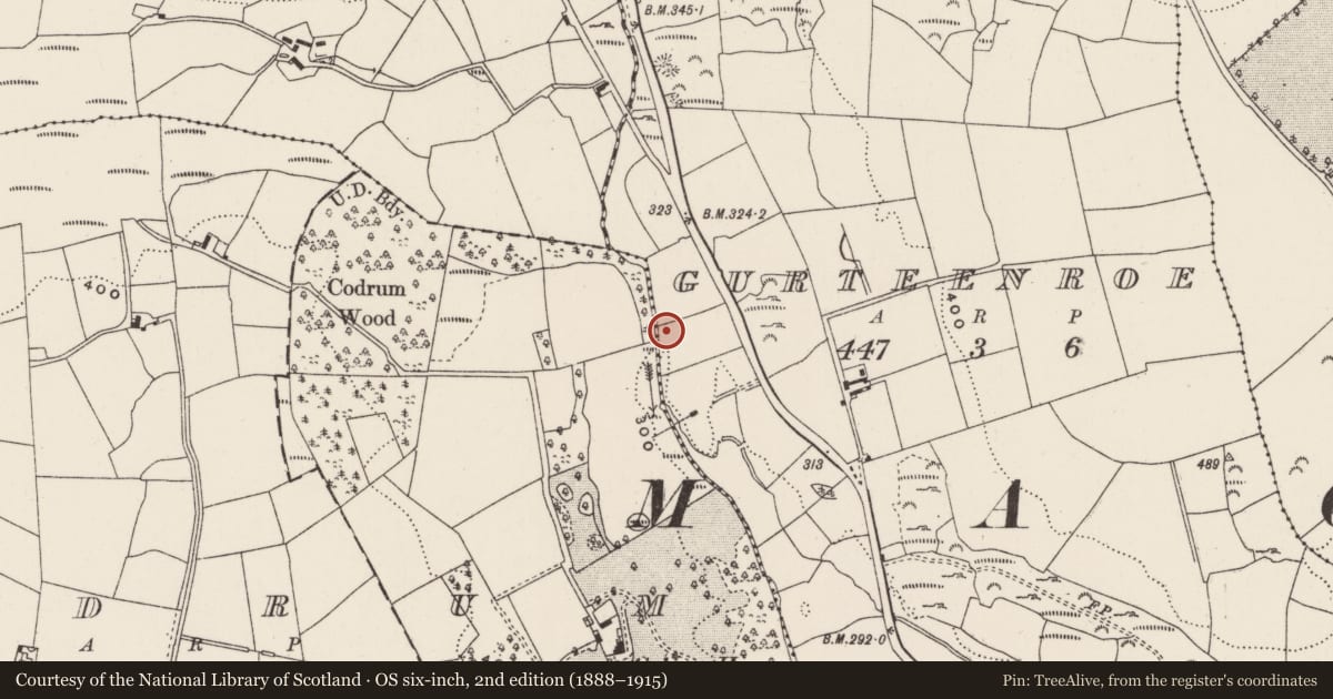 Ordnance Survey six-inch map, 2nd edition (1888–1915) covering the location of Fulacht fia, Gurteenroe, County Cork, with a pin at the register's coordinates