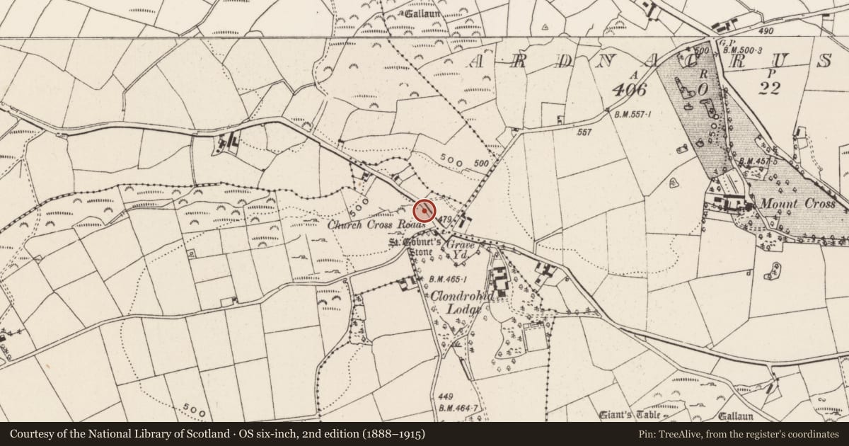 Ordnance Survey six-inch map, 2nd edition (1888–1915) covering the location of Souterrain, Glananarig, County Cork, with a pin at the register's coordinates