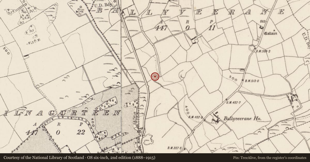 Ordnance Survey six-inch map, 2nd edition (1888–1915) covering the location of Ringfort - rath, Ballyveerane, County Cork, with a pin at the register's coordinates
