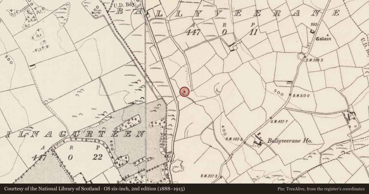 Ordnance Survey six-inch map, 2nd edition (1888–1915) covering the location of Kiln - lime, Ballyveerane, County Cork, with a pin at the register's coordinates