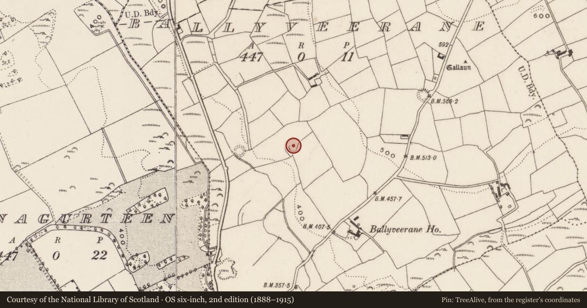 Ordnance Survey six-inch map, 2nd edition (1888–1915) covering the location of Ringfort - rath, Ballyveerane, County Cork, with a pin at the register's coordinates