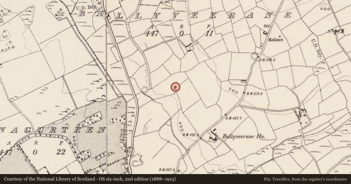 Ordnance Survey six-inch map, 2nd edition (1888–1915) covering the location of Souterrain, Ballyveerane, County Cork, with a pin at the register's coordinates