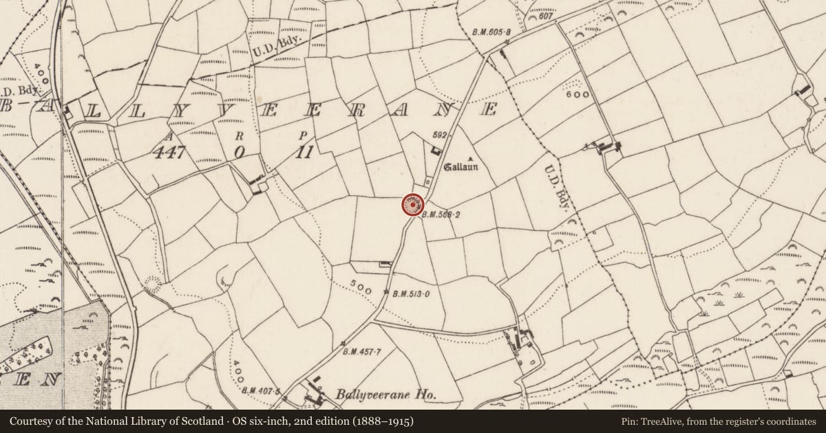 Ordnance Survey six-inch map, 2nd edition (1888–1915) covering the location of Ringfort - rath, Ballyveerane, County Cork, with a pin at the register's coordinates