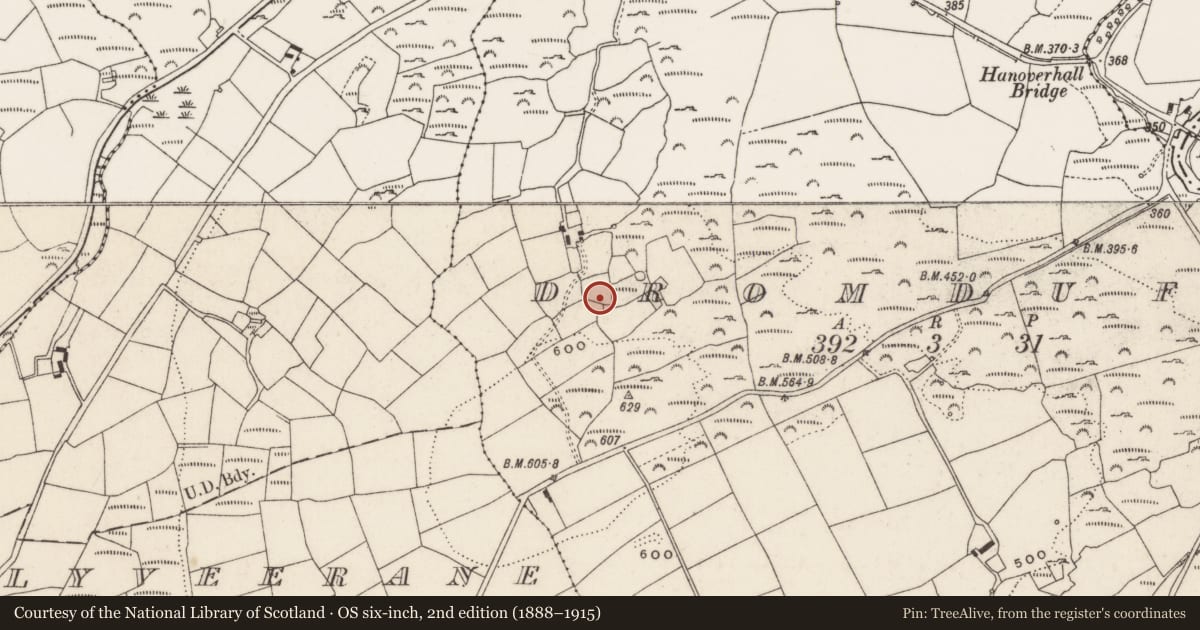 Ordnance Survey six-inch map, 2nd edition (1888–1915) covering the location of Field boundary, Dromduff, County Cork, with a pin at the register's coordinates