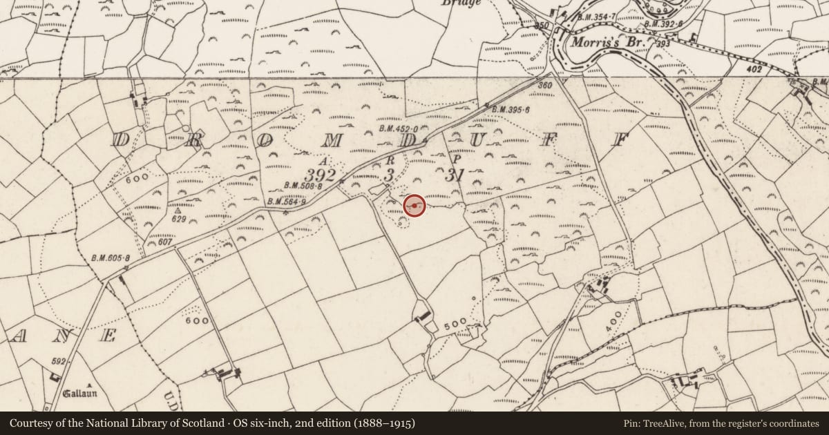 Ordnance Survey six-inch map, 2nd edition (1888–1915) covering the location of Fulacht fia, Dromduff, County Cork, with a pin at the register's coordinates