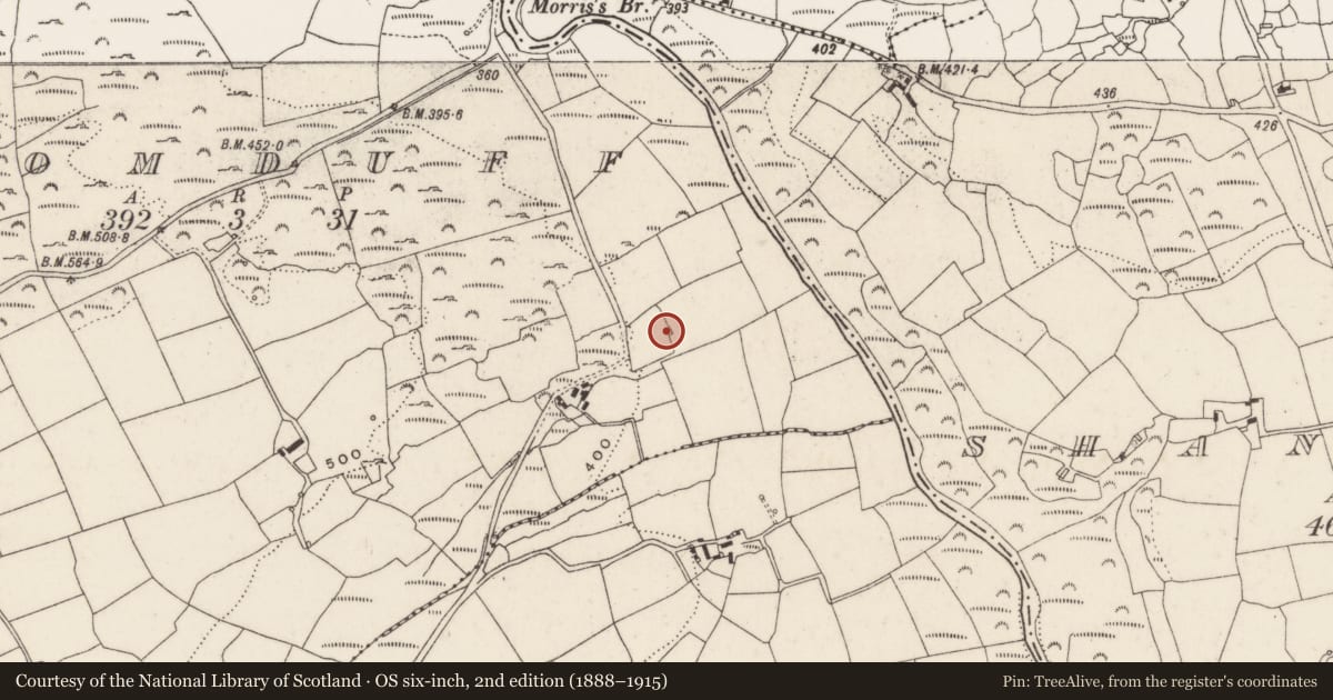 Ordnance Survey six-inch map, 2nd edition (1888–1915) covering the location of Megalithic tomb - wedge tomb, Dromduff, County Cork, with a pin at the register's coordinates