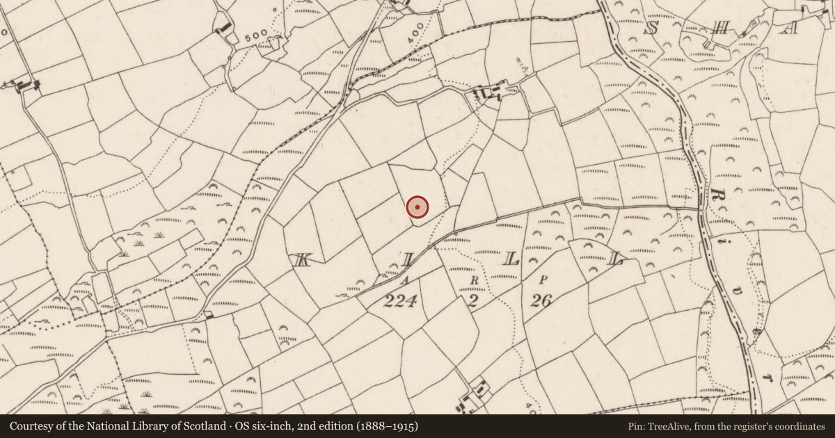Ordnance Survey six-inch map, 2nd edition (1888–1915) covering the location of Ritual site - holy well, Kill, County Cork, with a pin at the register's coordinates