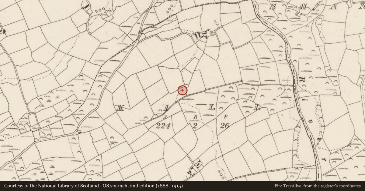 Ordnance Survey six-inch map, 2nd edition (1888–1915) covering the location of Bullaun stone, Kill, County Cork, with a pin at the register's coordinates