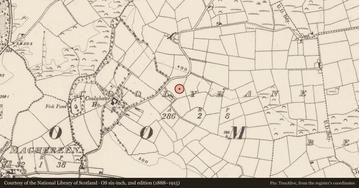 Ordnance Survey six-inch map, 2nd edition (1888–1915) covering the location of Standing stone, Coolyhane, County Cork, with a pin at the register's coordinates