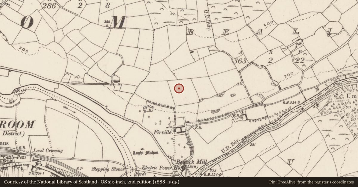 Ordnance Survey six-inch map, 2nd edition (1888–1915) covering the location of Standing stone, Bealick, County Cork, with a pin at the register's coordinates
