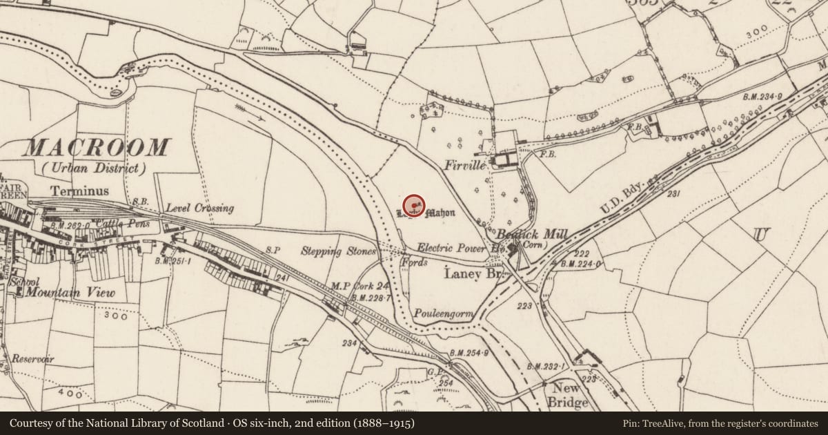 Ordnance Survey six-inch map, 2nd edition (1888–1915) covering the location of Stone row, Bealick, County Cork, with a pin at the register's coordinates