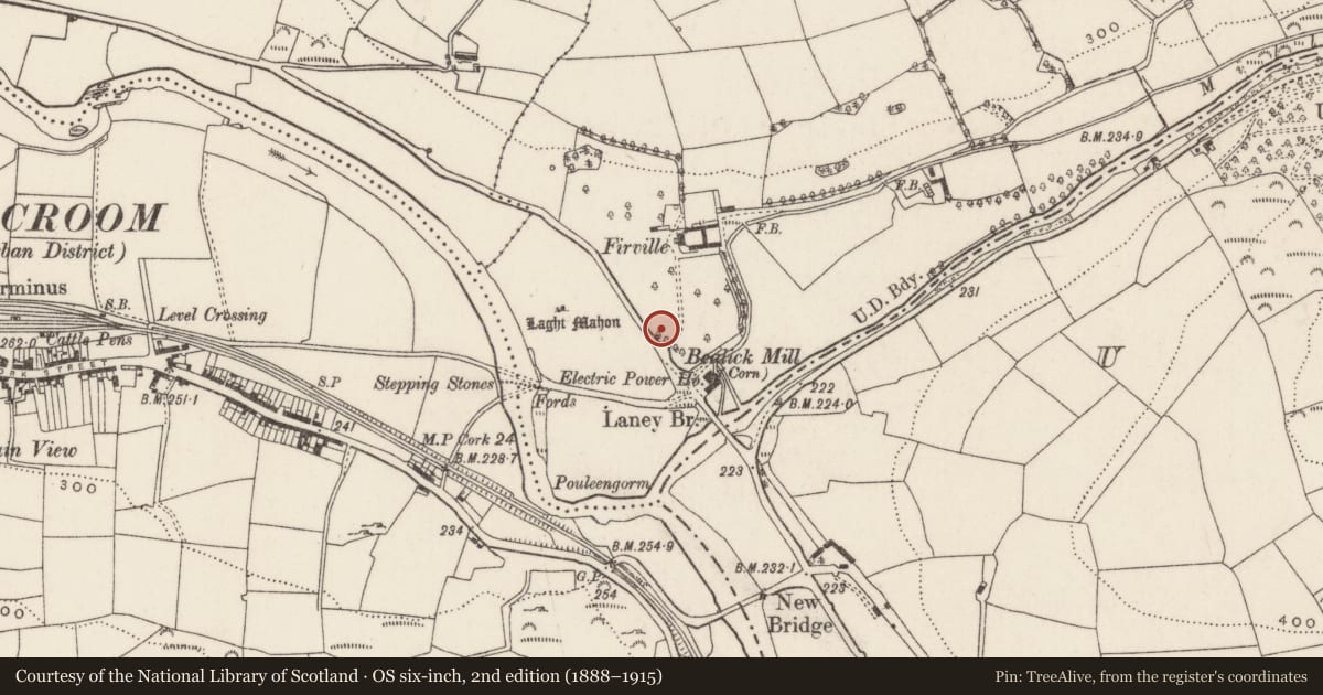 Ordnance Survey six-inch map, 2nd edition (1888–1915) covering the location of Souterrain, Bealick, County Cork, with a pin at the register's coordinates